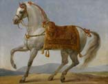 the horse of napoleon called marengo